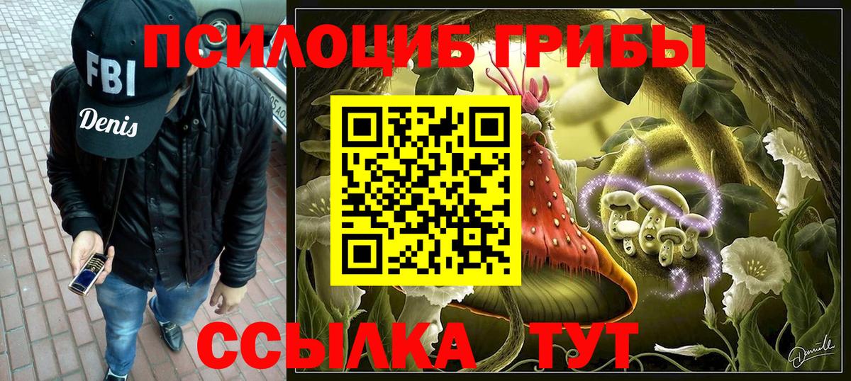 Галлюциногенные грибы мицелий Гатчина