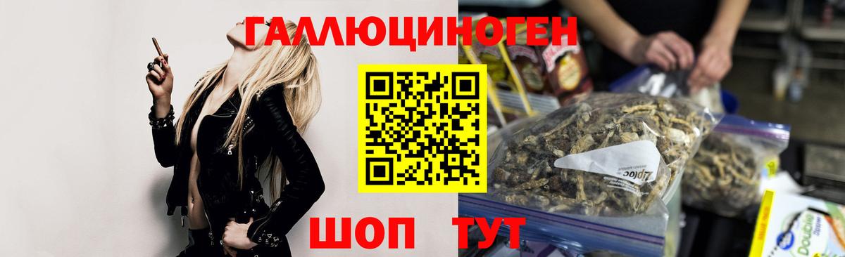 Гатчина  Псилоцибиновые грибы MAGIC MUSHROOMS  Вход с VPN  Псилоцибиновые грибы мухоморы 