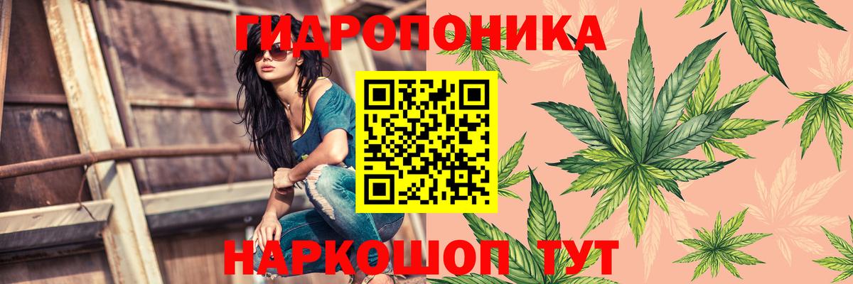 Марихуана LSD WEED  Вход с VPN  Конопля ГИДРОПОН  Гатчина  Каннабис тримм 
